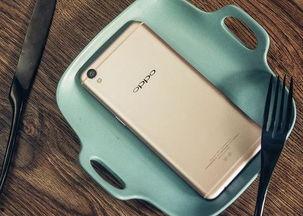 热e国产,探寻能源变革中的绿色奇迹